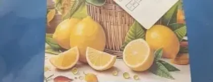 Buyer photo of the Lemons and Jasmine kit CC-K4-01 in 14 count: a close band of the printed design showing whole lemons, cut slices and green leaves